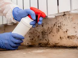 Best Mold Documentation for Insurance Claims  in Rockwell, NC